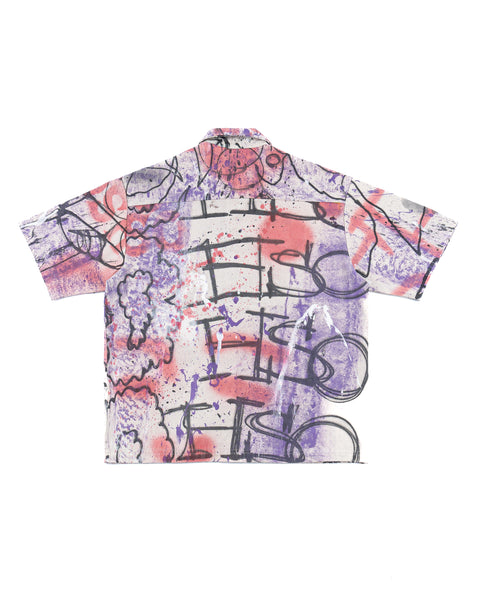 PAINTED BUTTON DOWN (1 OF 1)