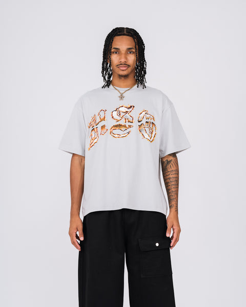 ARCH LOGO BURN HEAVY BOX TEE GRAY
