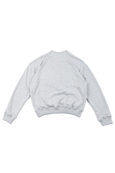 SWEATSHIRT IN HEATHER GRAY